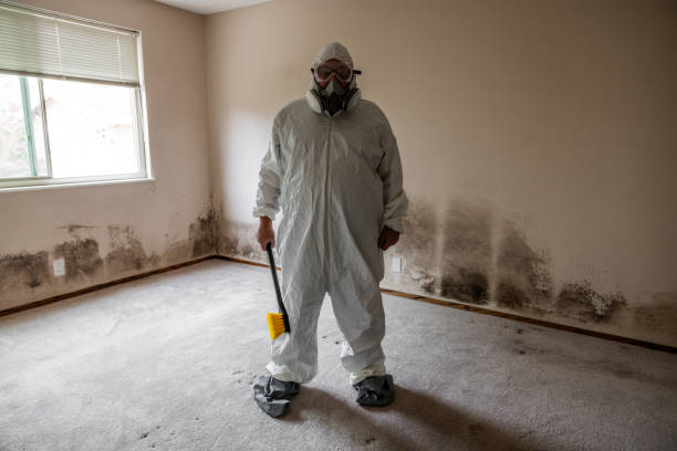 Mold Documentation for Insurance Claims in Port Washington North, NY